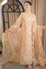 Aneelas unstichted Lawn Embroidered 2pc  Embroidered Duppata V723 2pc
